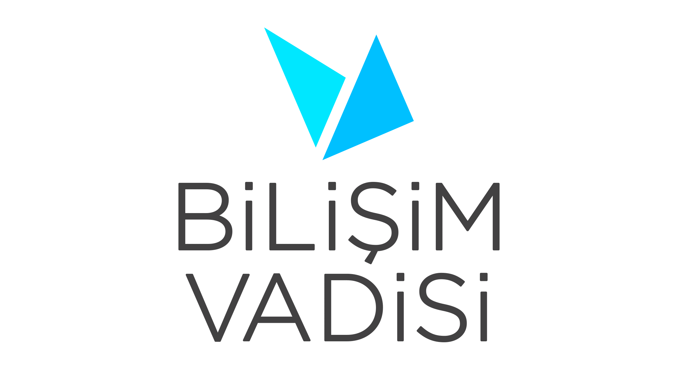 Bilişim Vadisi